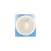 NICCHIA FARO HAYWARD SP0512 (LINER)