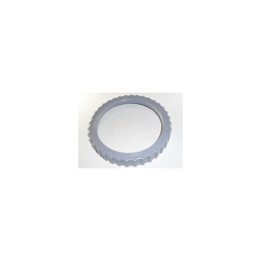 GHIERA PER POMPA FILTRO 28602