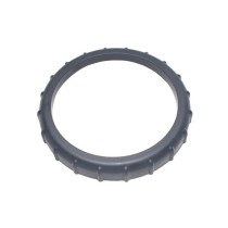 GHIERA PER POMPA FILTRO 28604/28638