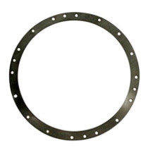 GUARNIZIONE AUTOADESIVA PER FLANGIA FARO HAYWARD COFIES 300W (COPPIA)