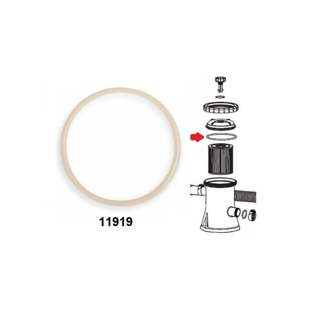 GUARNIZIONE COPERCHIO POMPA FILTRO INTEX 28602 (1.250LT/H)