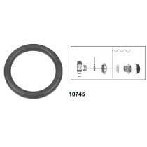 GUARNIZIONE DENTATA PER VALVOLA PLUNGER 10747 - BIANCA