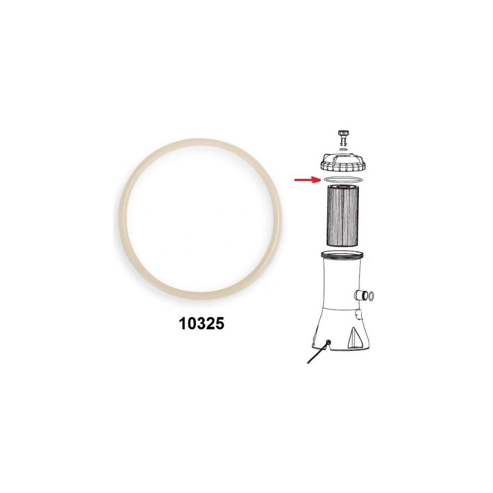 GUARNIZIONE O'RING PER COPERCHIO POMPA 28604/38/36/72