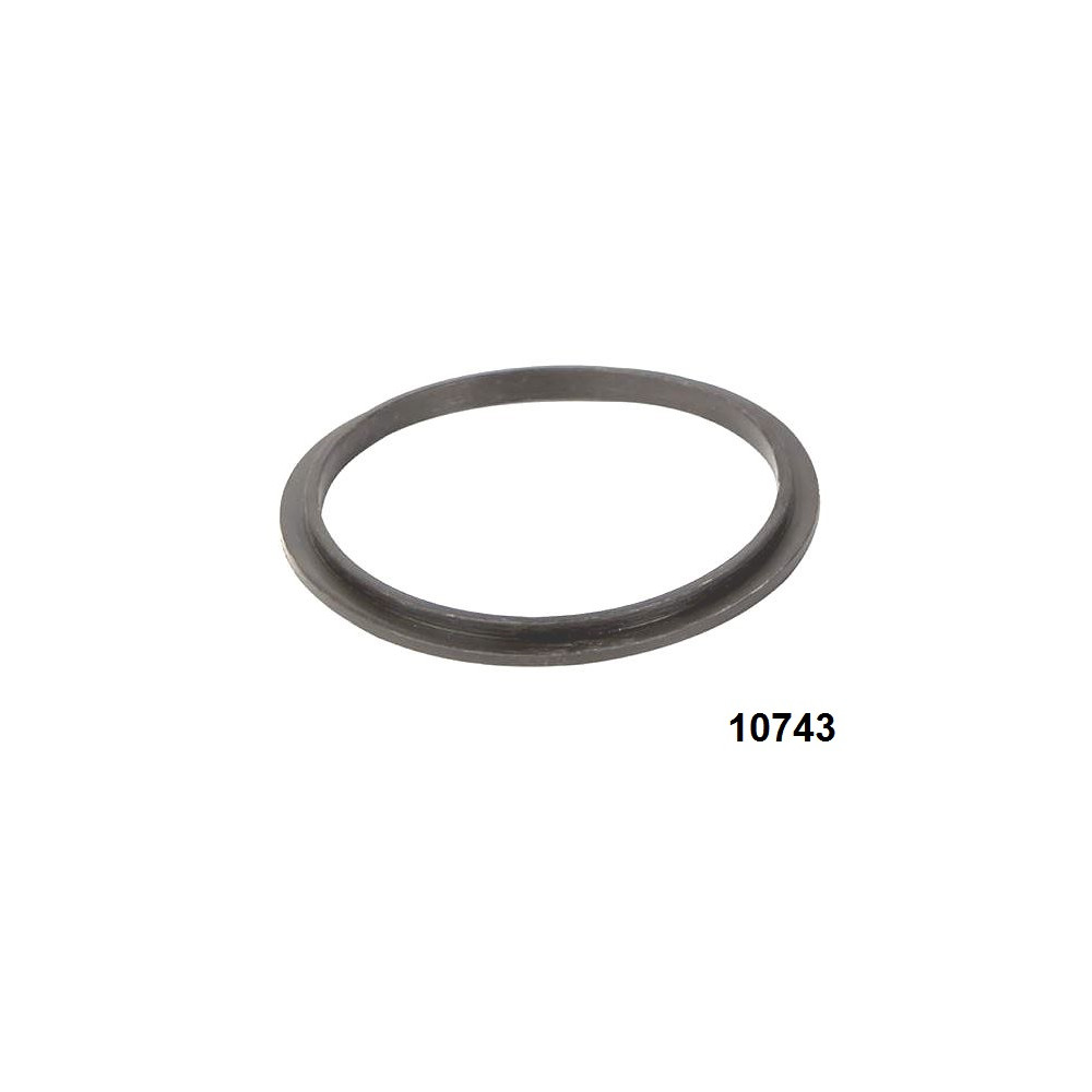 GUARNIZIONE O'RING TIPO "D" PER CLORINATORE INTEX