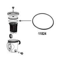 GUARNIZIONE PREFILTRO POMPA SABBIA INTEX 28646 (SF80220)