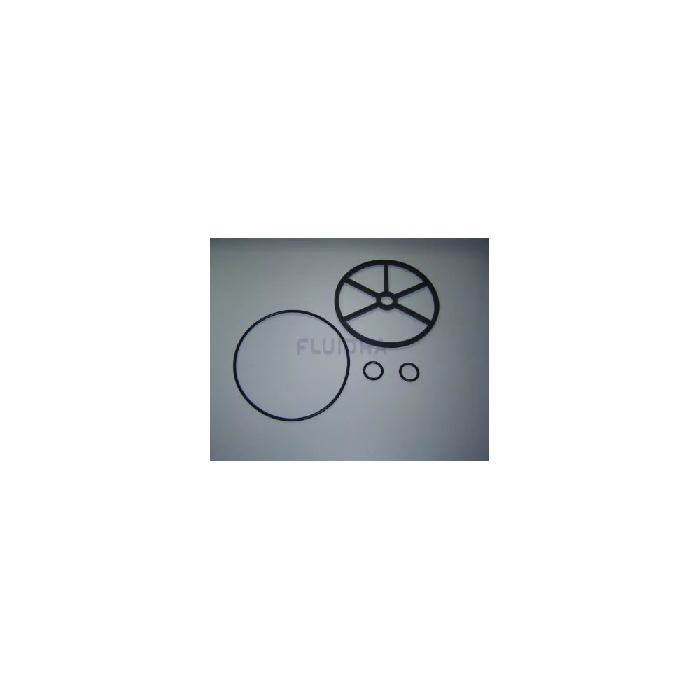 GUARNIZIONE SISTEMA ASSIALE PER VALVOLA SELETTRICE ASTRAL POOL 2"