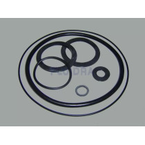 GUARNIZIONI ASTRAL PER POMPA VICTORIA 0,5 HP - 2 HP
