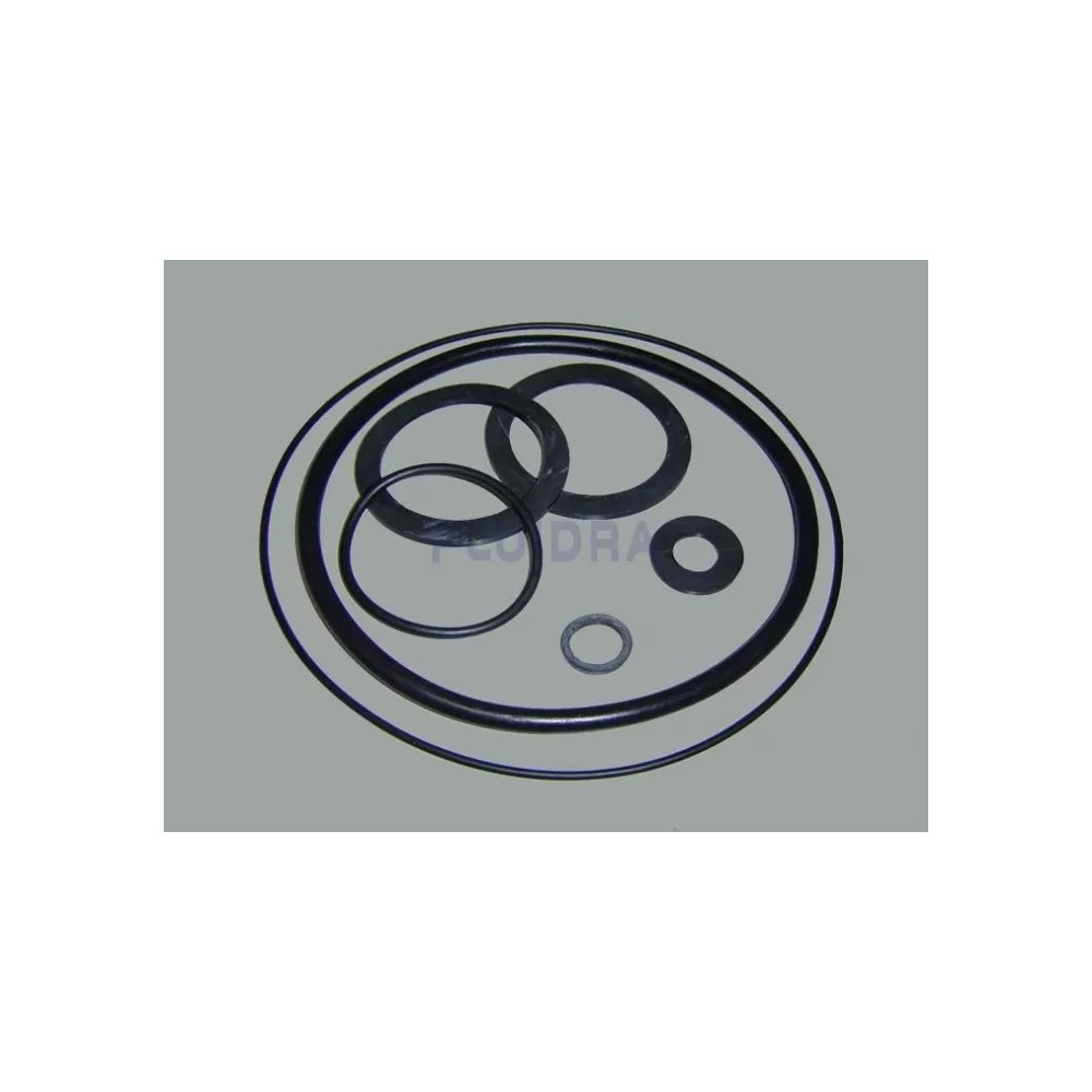 GUARNIZIONI ASTRAL PER POMPA VICTORIA 0,5 HP - 2 HP
