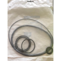 GUARNIZIONI ASTRAL PER POMPA VICTORIA SPRINT 3 HP