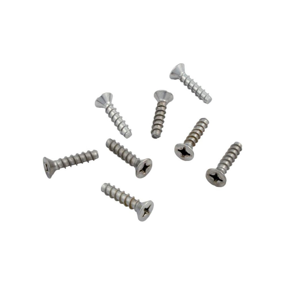 KIT VITI PER FLANGIA PRESA DI FONDO HAYWARD SP1048AVE - SP1049AVE