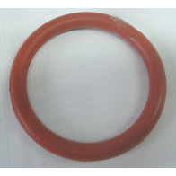 O'RING LAMPADA PAR 56 (FARO I POOL'S) - ARANCIONE