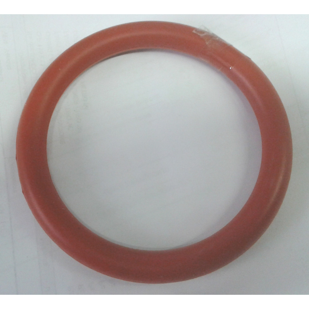 O'RING LAMPADA PAR 56 (FARO I POOL'S) - ARANCIONE