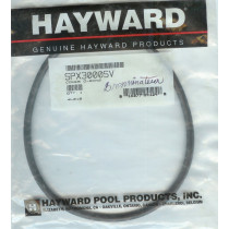 O-RING COPERCHIO DOSATORE HAYWARD