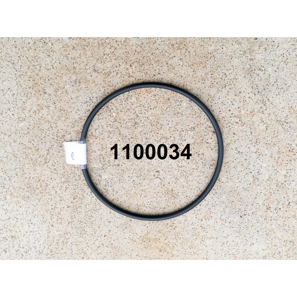 O-RING PREFILTRO PER POMPA SHOTT SP3600