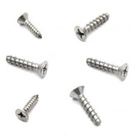 SET VITI DI FISSAGGIO X BOCCHETTA HAYWARD (MODELLI LINER PVC)