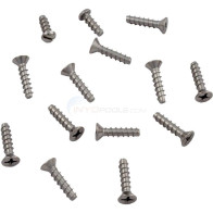 VITI FLANGIA SKIMMER AUTOSKIM PICCOLO HAYWARD