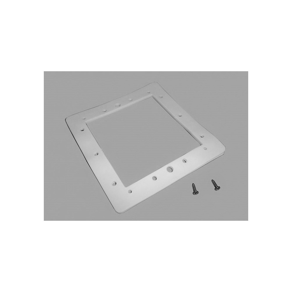 GUARNIZIONE CORNICE + 2 VITI DI ECO SKIMMER PER PISCINE FUORI TERRA ASTRAL