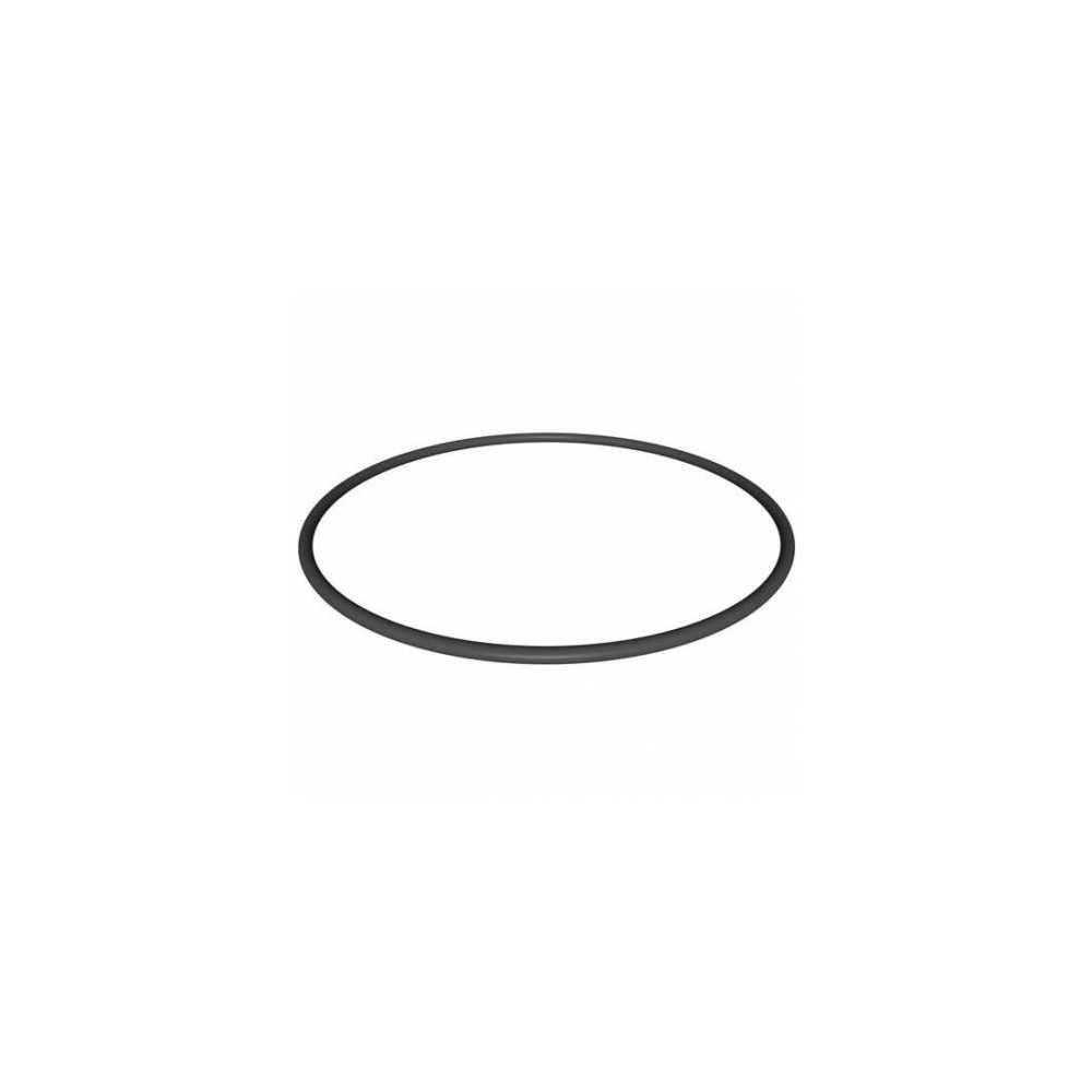 GUARNIZIONE O'RING COPERCHIO FILTRO HAYWARD STAR CLEAR PLUS C900/C1200/C1750