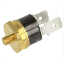 TERMOSTATO LIMITE BOSCH