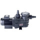 ELETTROPOMPA HAYWARD SERIE POWER-FLO II - 0,75 HP - MONOFASE 13 MC/H